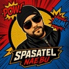twitch.tv/SpasatelNaebu