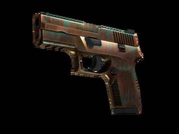 StatTrak™ P250 | Ярь-медянка